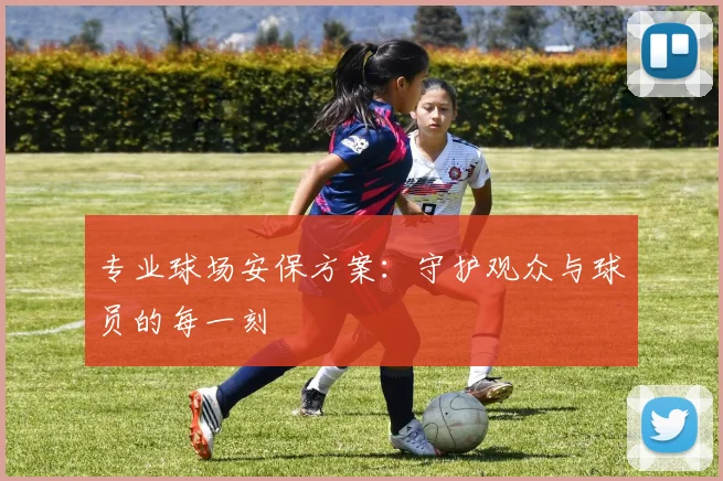专业球场安保方案:守护观众与球员的每一刻