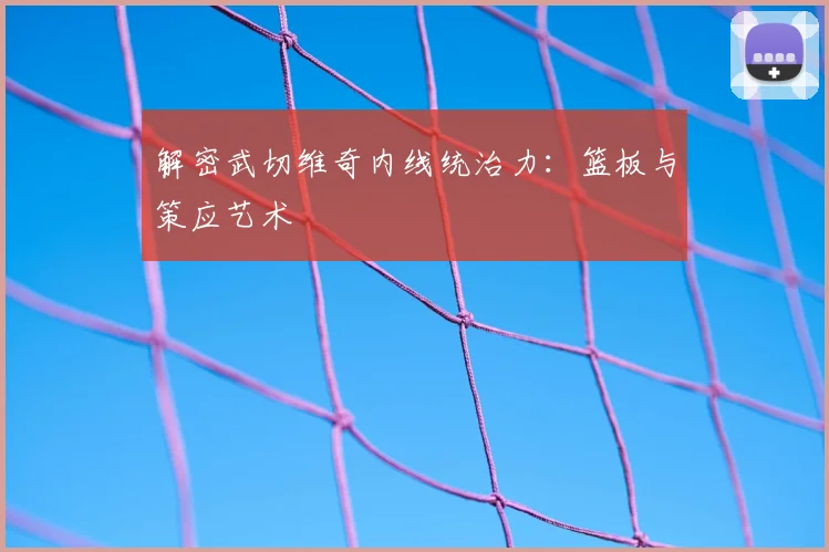 解密武切维奇内线统治力：篮板与策应艺术