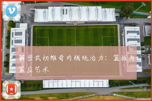 解密武切维奇内线统治力:篮板与策应艺术